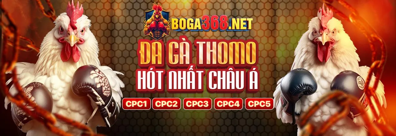Đá Gà Trực Tuyến FSbet 2026