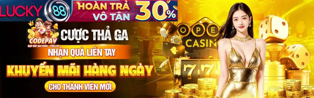 Minh họa các loại Cookie được sử dụng trên FSBet Login